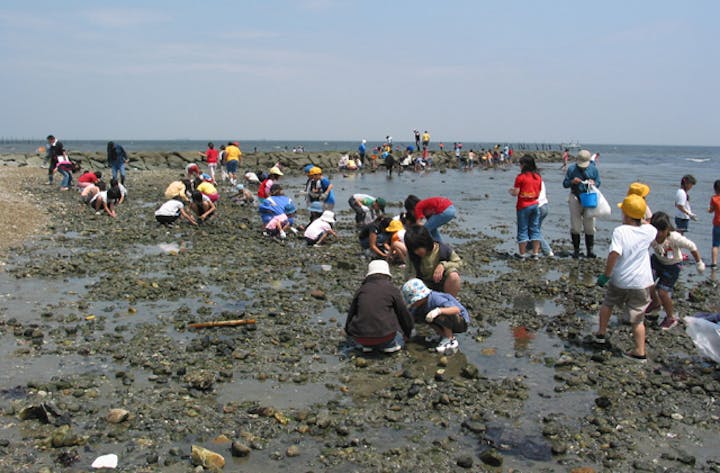 山田潮干狩り