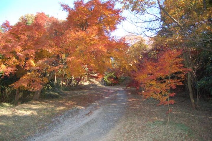 美浜オレンジラインハイキングコース