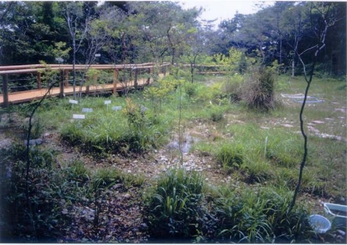 壱町田湿地植物群落