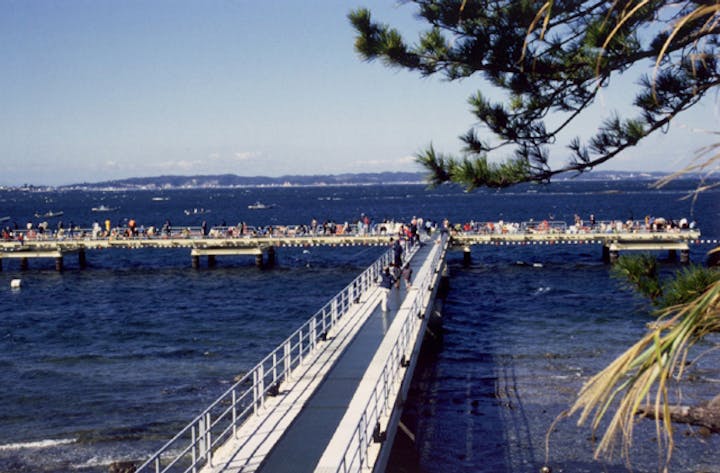 佐久島海釣りセンター