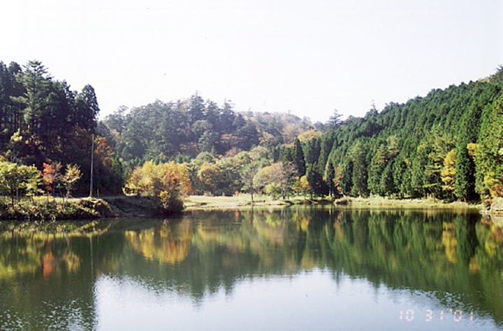 段戸裏谷原生林きららの森