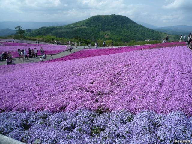 茶臼山・萩太郎山