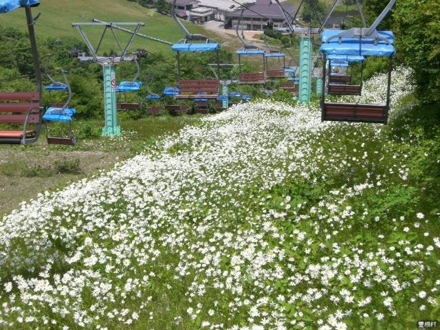 茶臼山高原観光リフト アソビュー 茶臼山高原観光リフト アソビュー