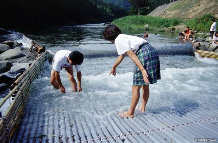 寒狭川広見ヤナ