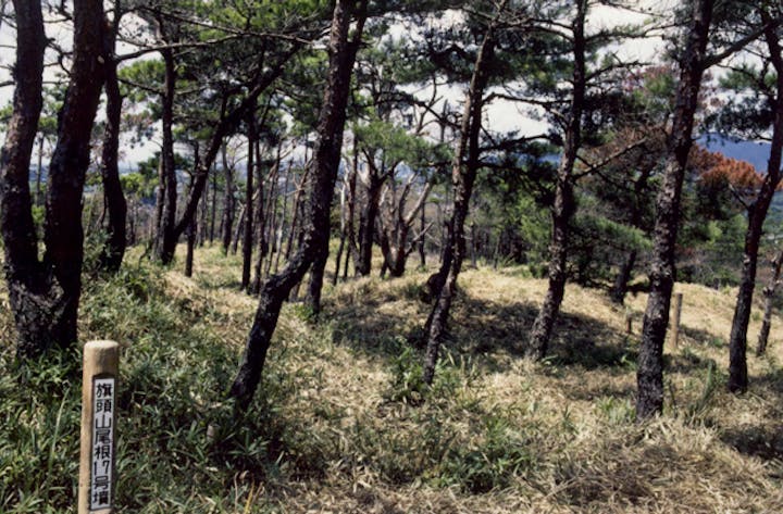 旗頭山尾根古墳群