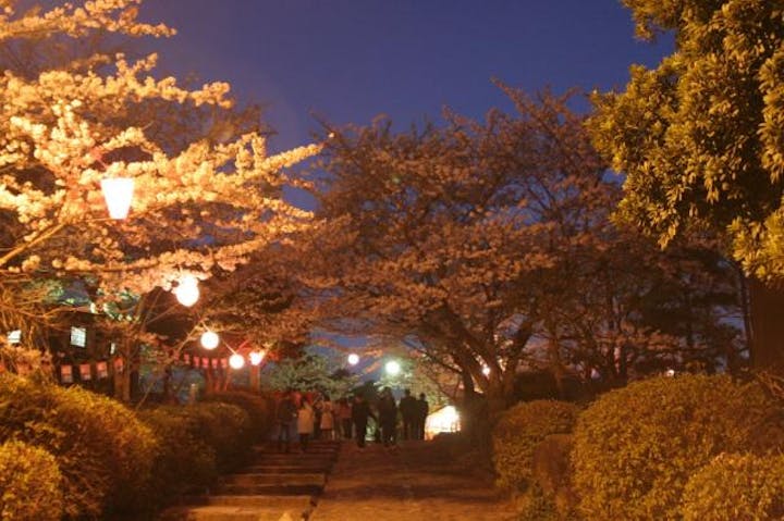 【2021年開催中止】津偕楽公園春まつり