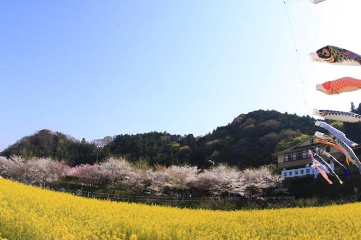 【2021年中止】榊原温泉さくら祭り