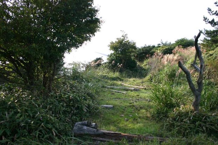 榊原自然歩道ハイキングコース