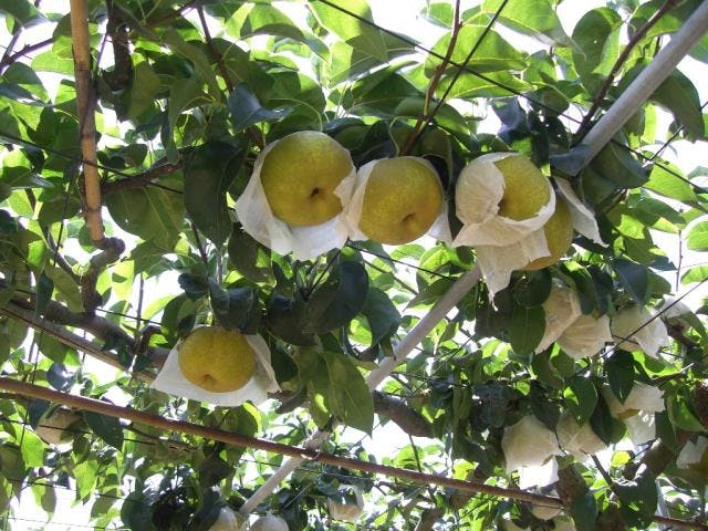 スポットの写真