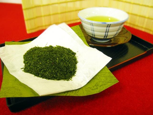 スポットの写真