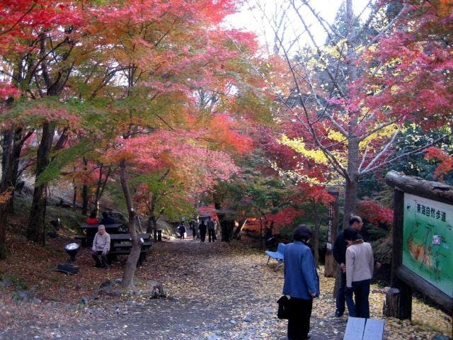 スポットの写真