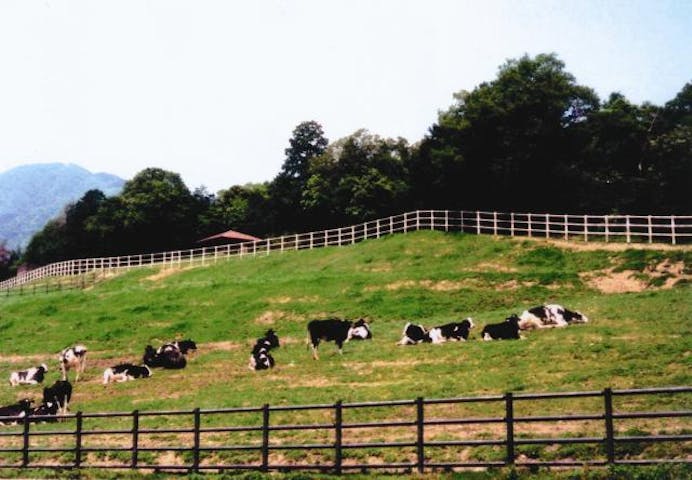四日市市ふれあい牧場