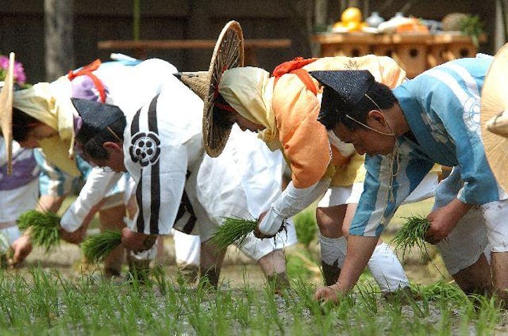 猿田彦神社の御田祭