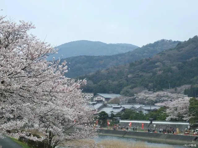 スポットの写真
