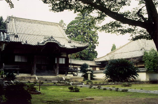 スポットの写真