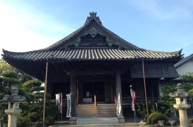 スポットの写真