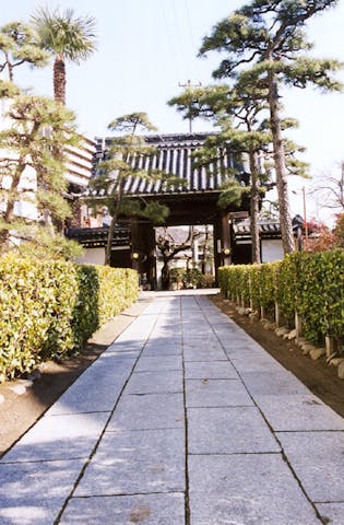 樹敬寺
