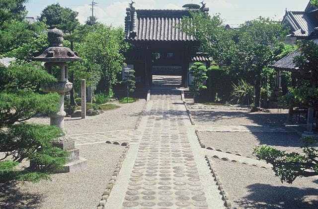 スポットの写真