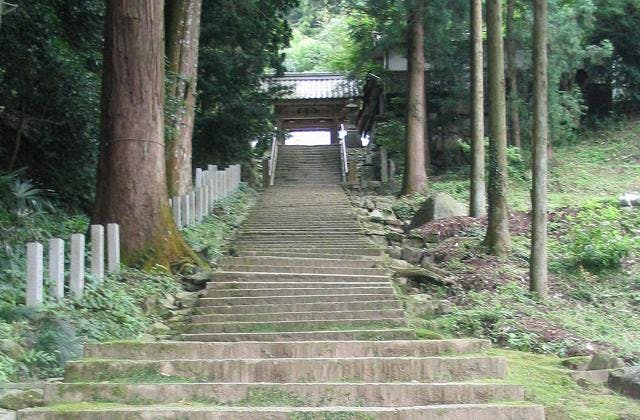 スポットの写真