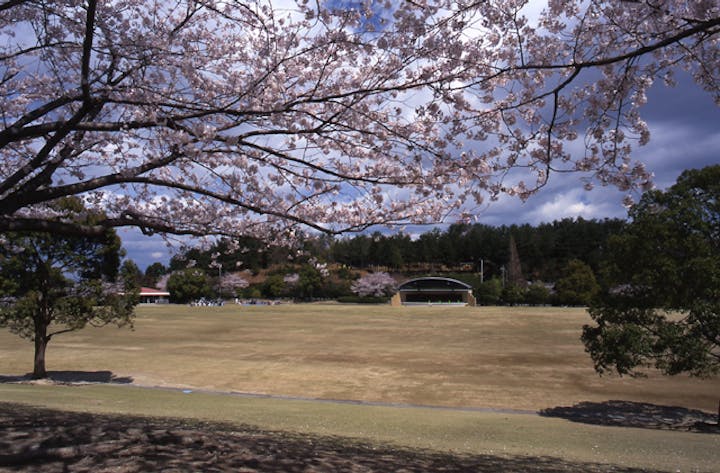 中部台運動公園