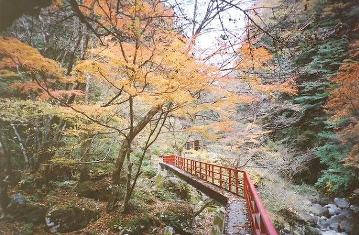 宮の谷渓谷遊歩道