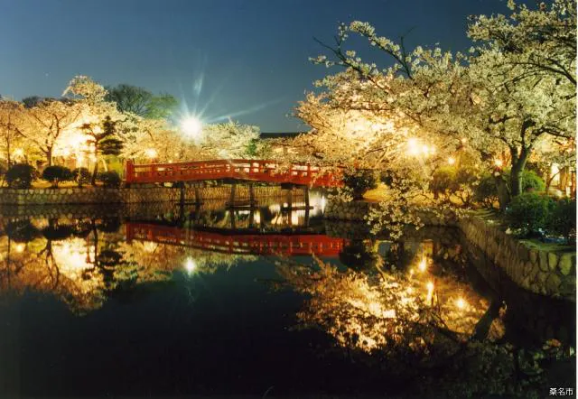 九華公園の桜，つつじ，花菖蒲【アソビュー！】
