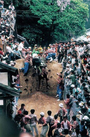 多度まつり 上げ馬神事 アソビュー