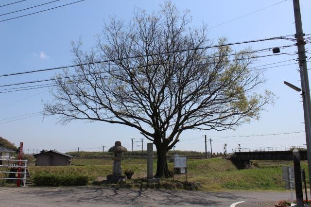 スポットの写真