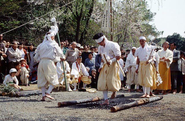 スポットの写真