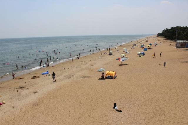 鼓ヶ浦海水浴場の砂　ヤフオクのみ出品！　三重県　Beach Sand　Japan Mie Prefecture