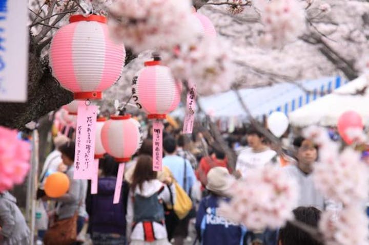 【2021年開催中止】名張桜まつり