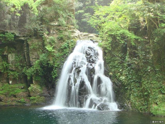 赤目四十八滝 アソビュー