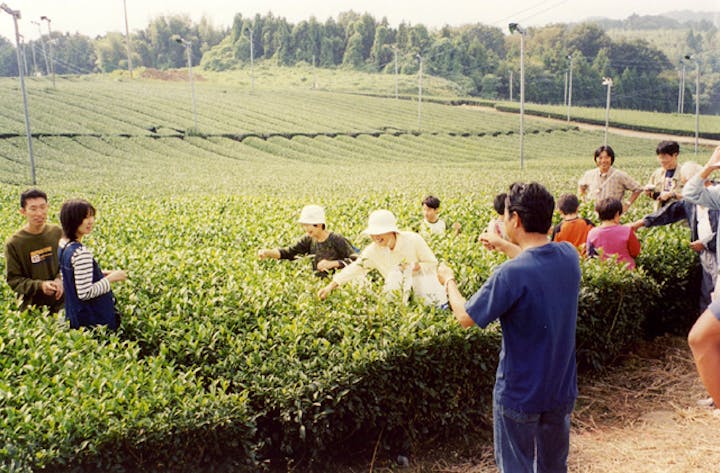 【2021年】亀山青空お茶まつり