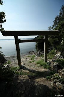 スポットの写真