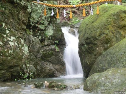 スポットの写真