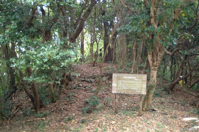 スポットの写真