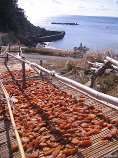 スポットの写真