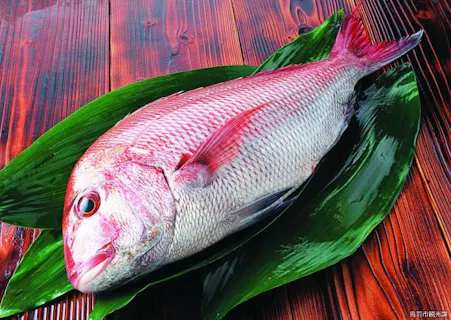 スポットの写真