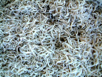 スポットの写真