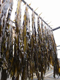 スポットの写真