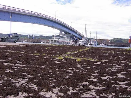 スポットの写真