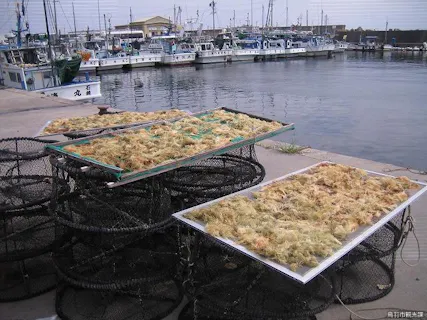 スポットの写真