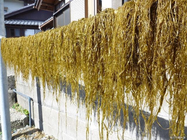 スポットの写真