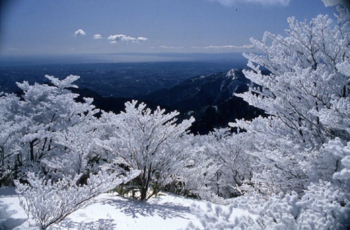 御在所岳樹氷