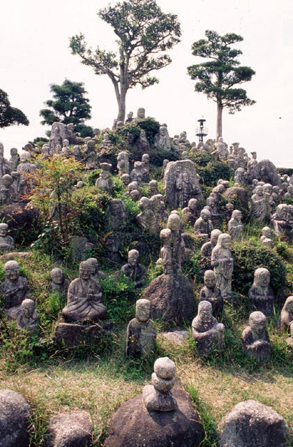 スポットの写真