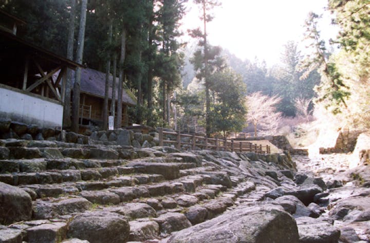 矢頭中宮キャンプ場