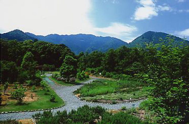 元丈の館・中山薬草薬樹公園