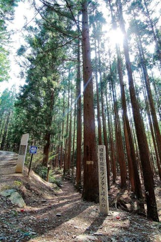 熊野古道　ツヅラト峠