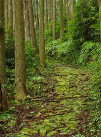 熊野古道横垣峠・風伝峠コース