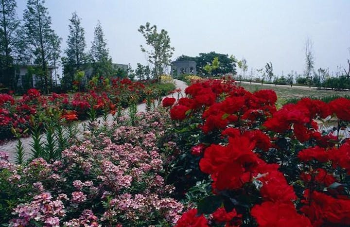 びわ湖大津館　イングリッシュガーデン